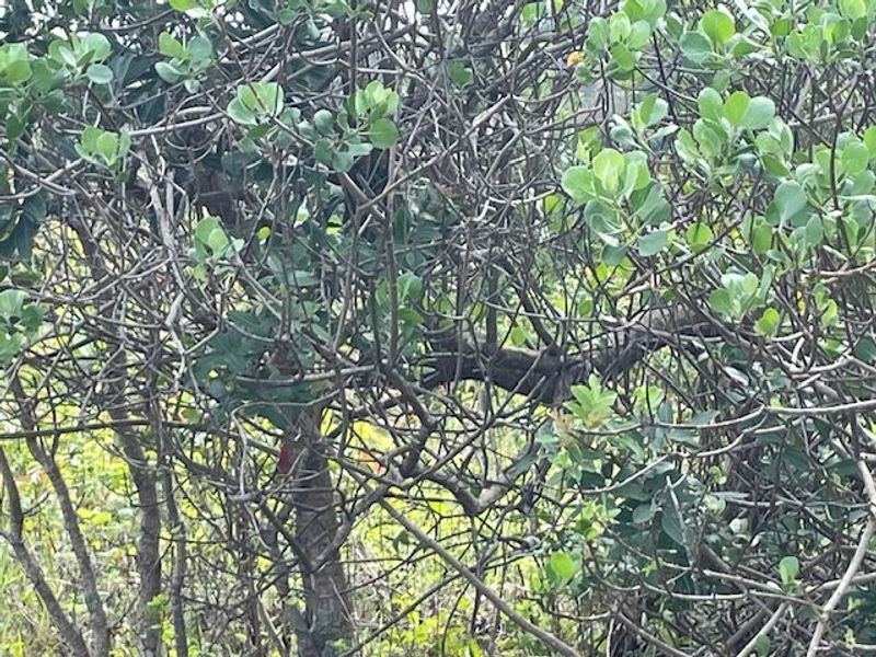 Priced Right To Sell !! - Photo 8