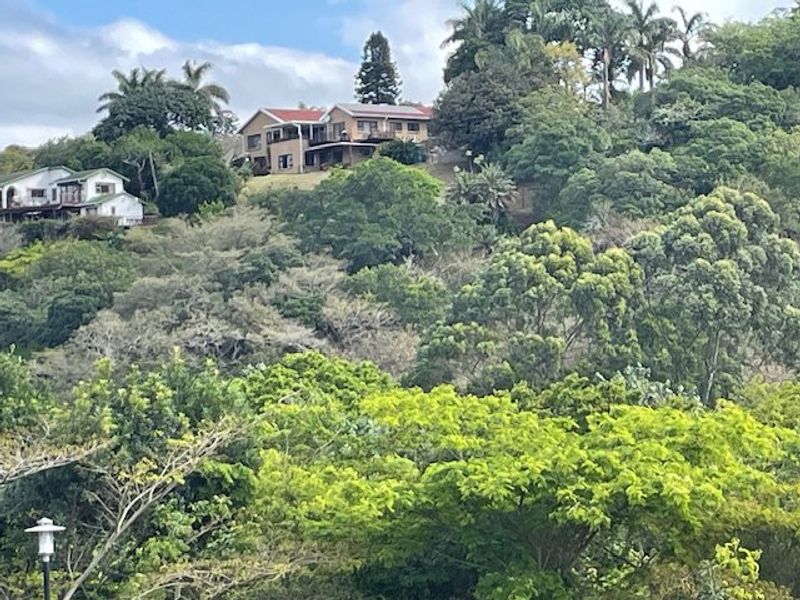 Priced Right To Sell !! - Photo 7