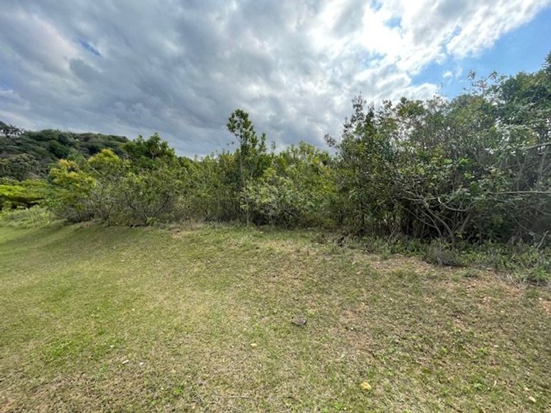 Priced Right To Sell !! - Photo 6