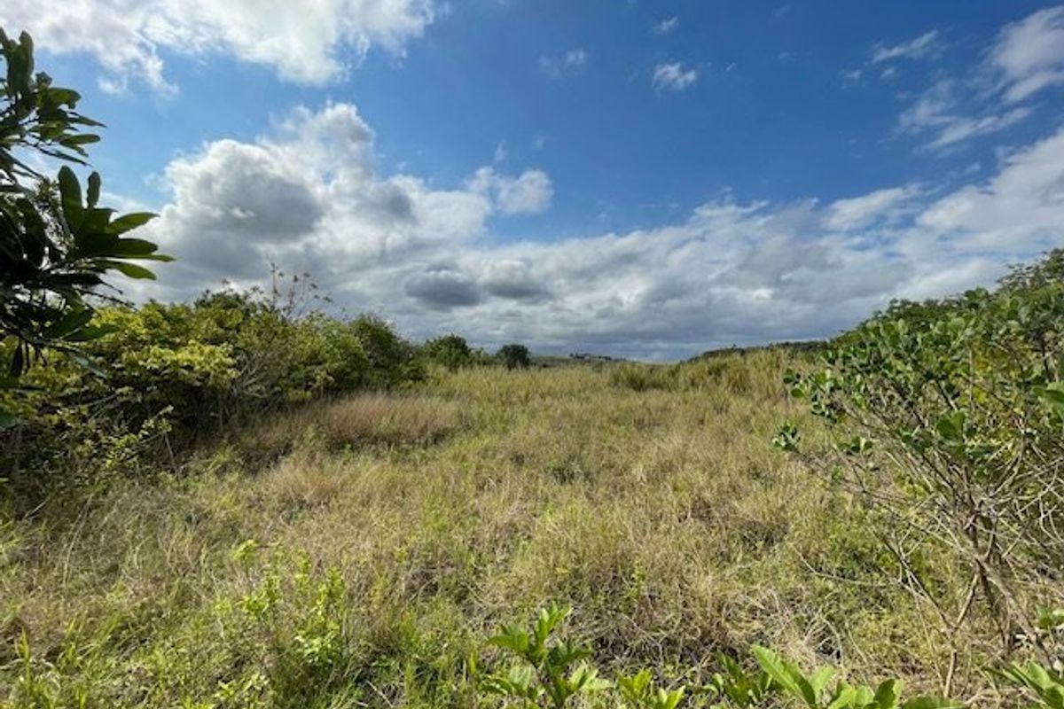 Priced Right To Sell !! - Photo 4