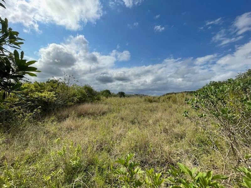 Priced Right To Sell !! - Photo 4