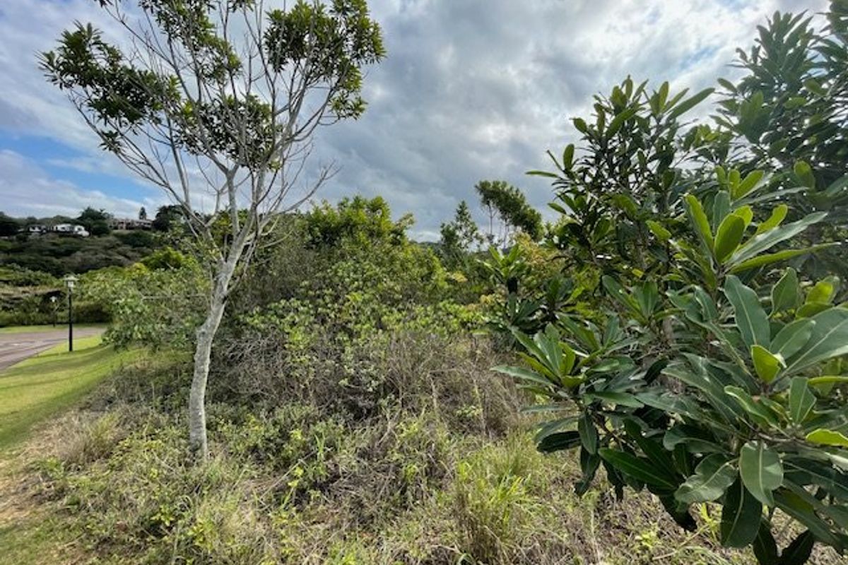 Priced Right To Sell !! - Photo 5