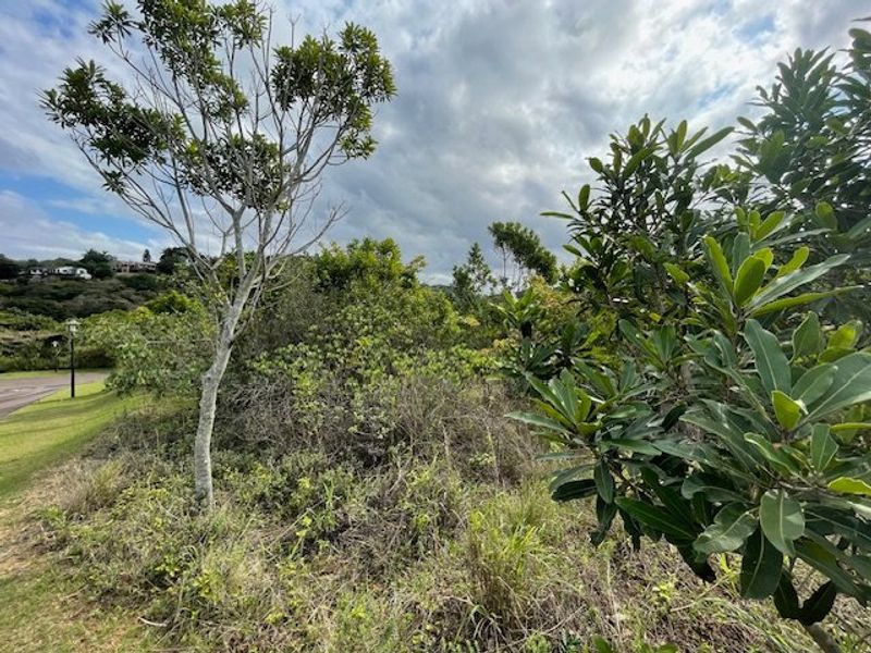 Priced Right To Sell !! - Photo 5