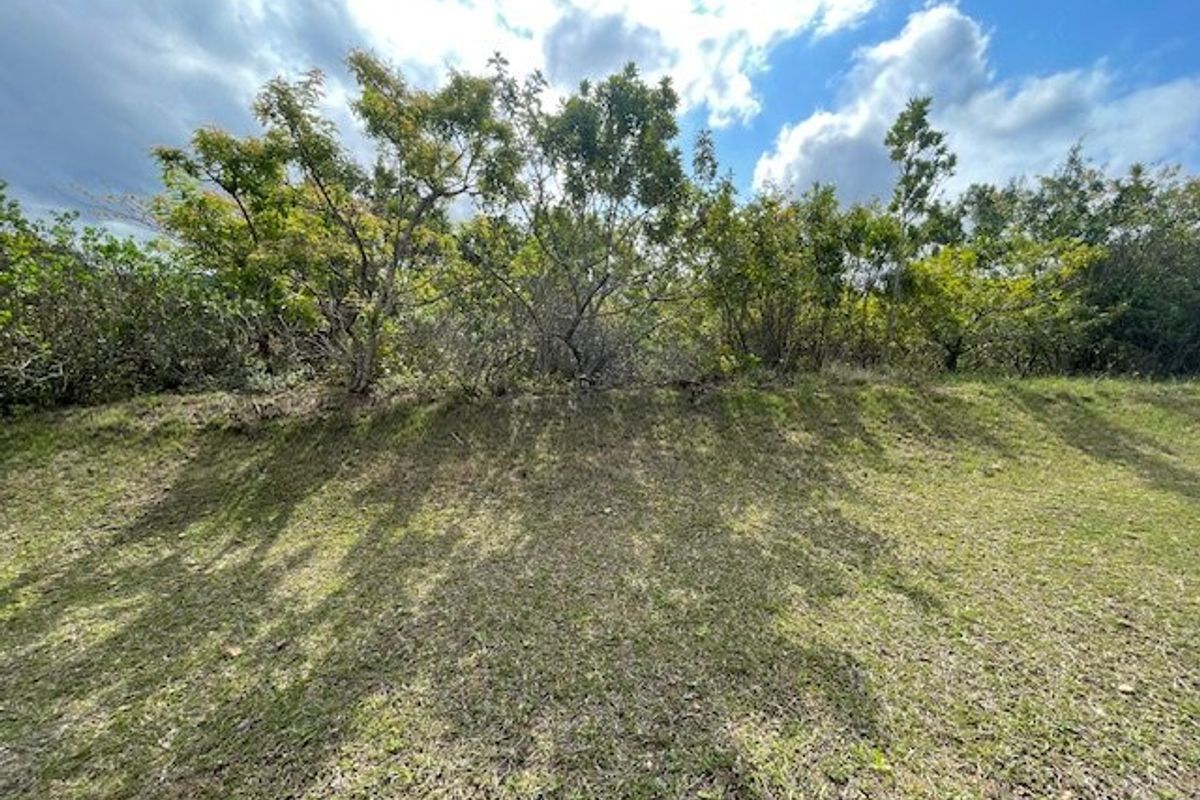 Priced Right To Sell !! - Photo 2