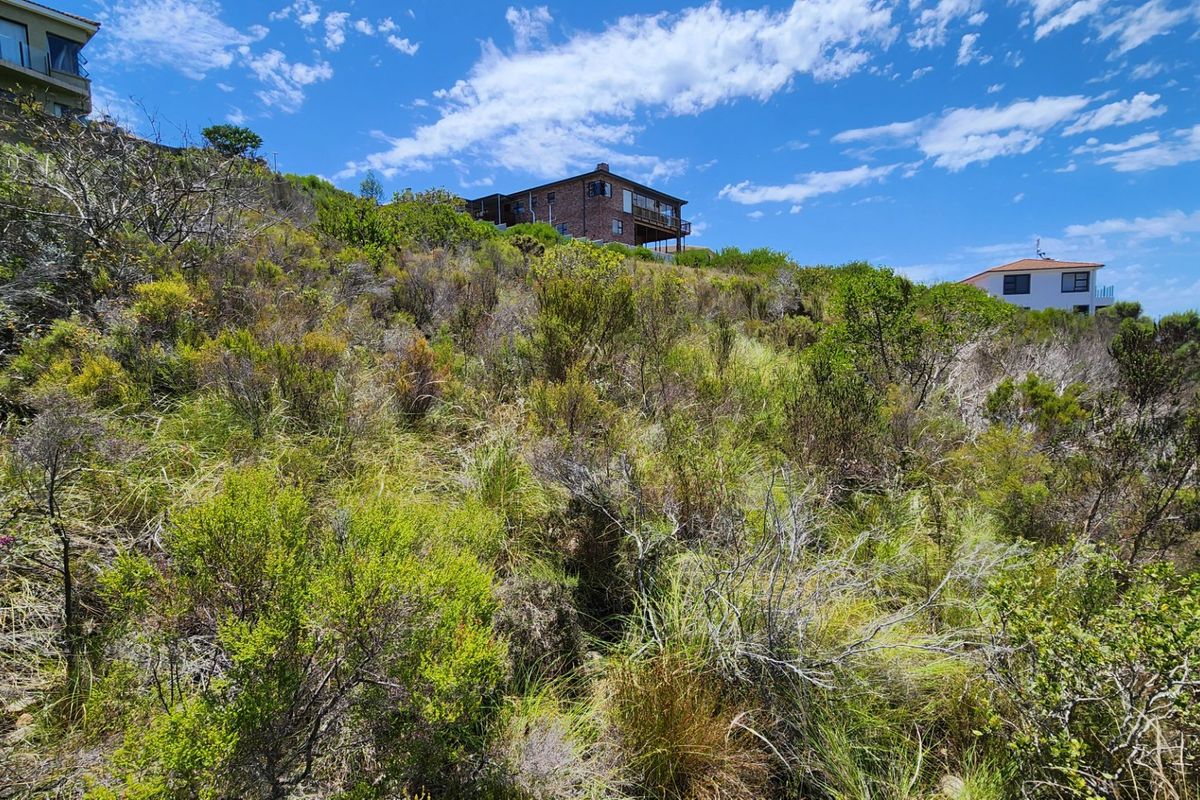 A view of a sloped, undeveloped residential plot covered in natural coastal vegetation, with neighboring properties visible in the background.