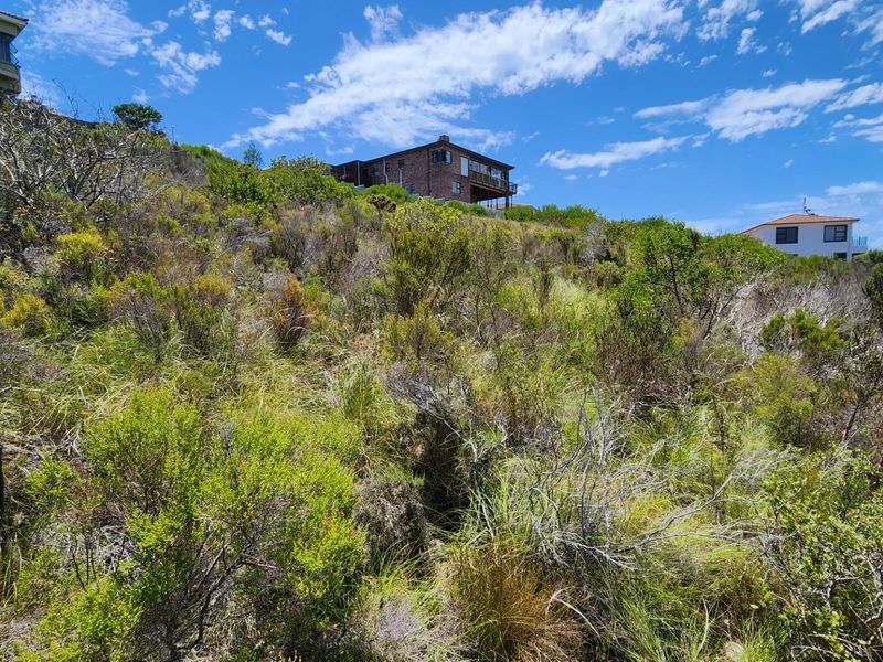 A view of a sloped, undeveloped residential plot covered in natural coastal vegetation, with neighboring properties visible in the background.