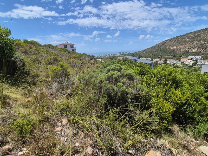 A view of the vacant residential land featuring natural vegetation, sloping terrain, and distant coastal and mountain scenery.