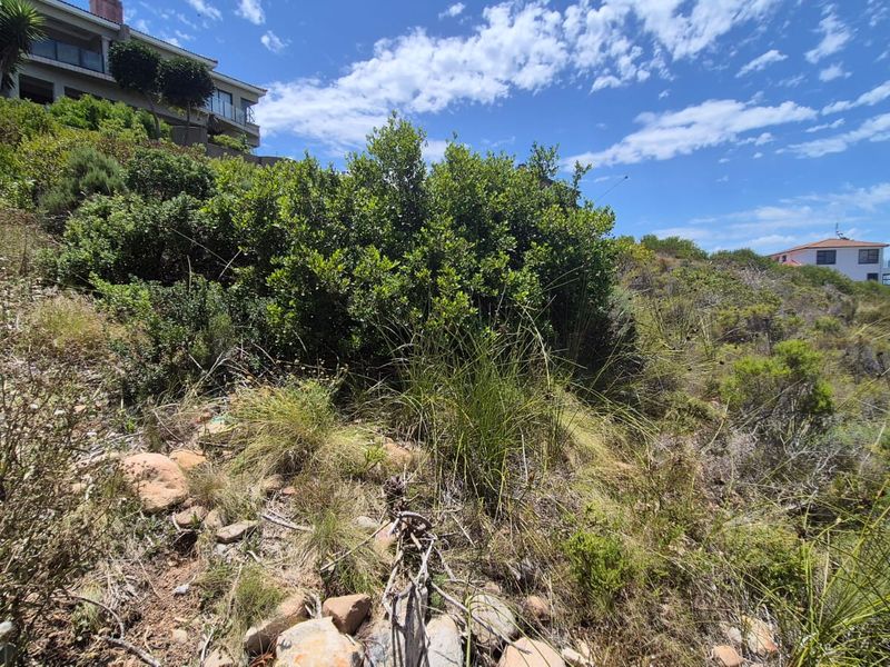 A view of the sloped, undeveloped residential land featuring natural vegetation, rocky terrain, and surrounding hillside properties.