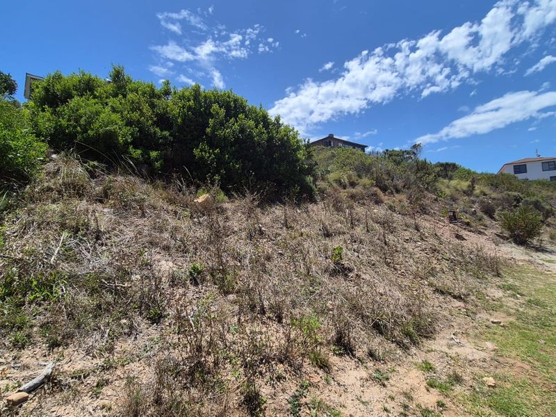 A view of a sloped, undeveloped residential plot featuring natural vegetation and shrubs, with surrounding residential properties visible in the background.