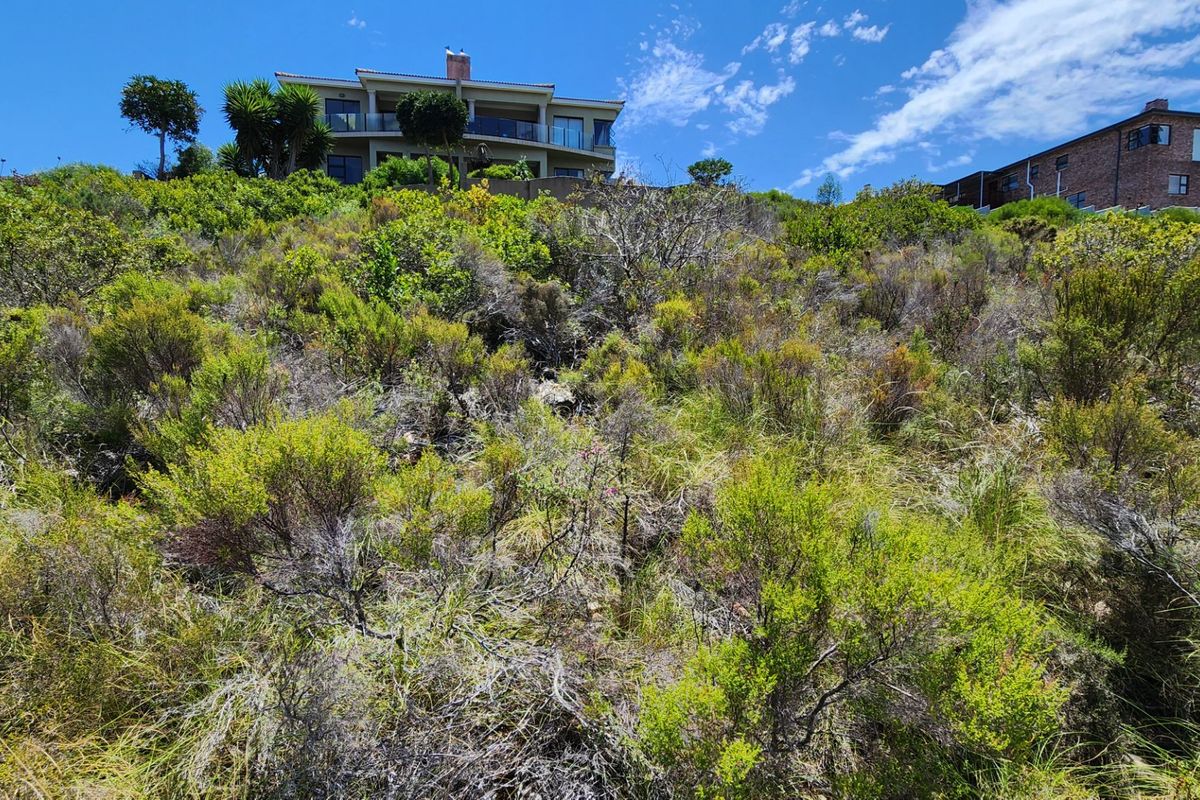 A view looking up a sloped, undeveloped residential plot covered in native vegetation, with established residential properties visible at the top of the incline.