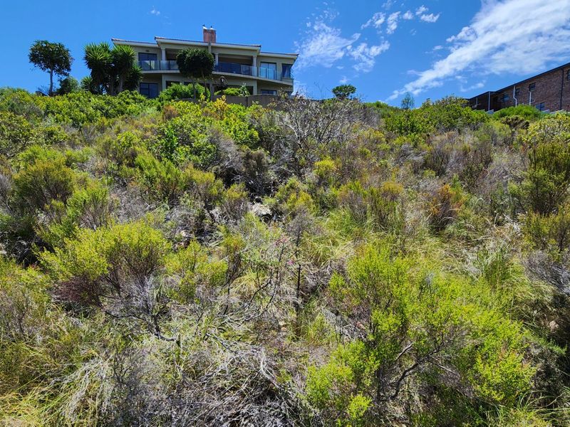A view looking up a sloped, undeveloped residential plot covered in native vegetation, with established residential properties visible at the top of the incline.