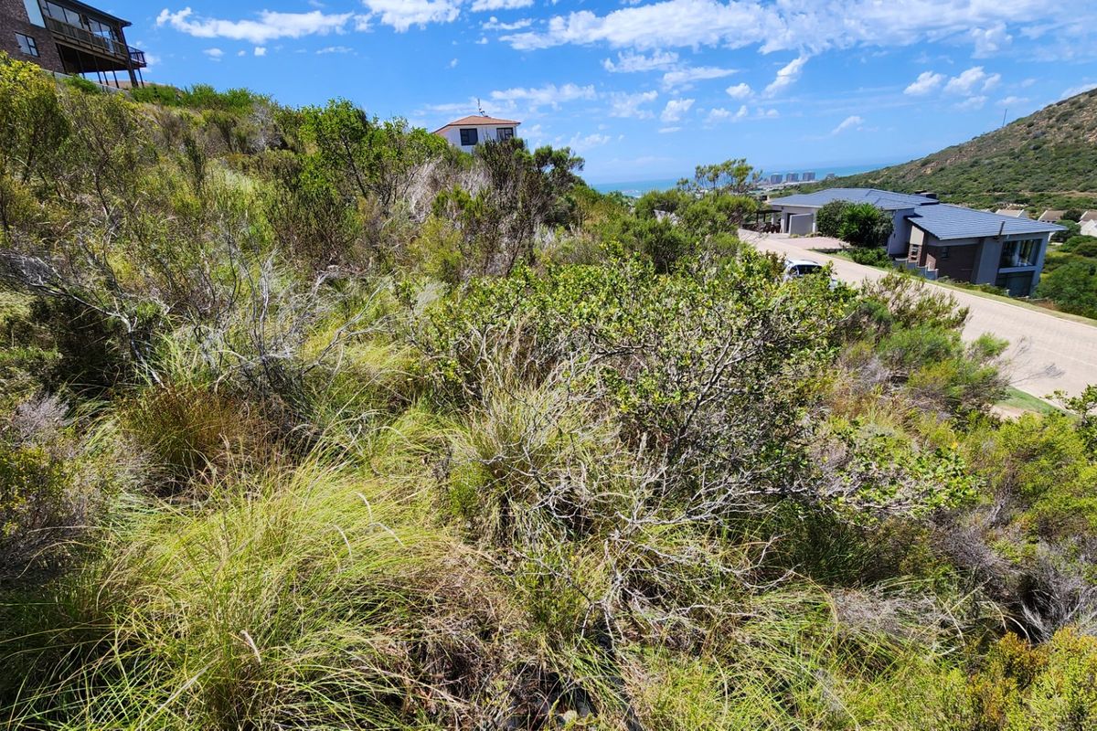 A sloped residential vacant land plot featuring natural coastal vegetation and surrounding neighborhood views.