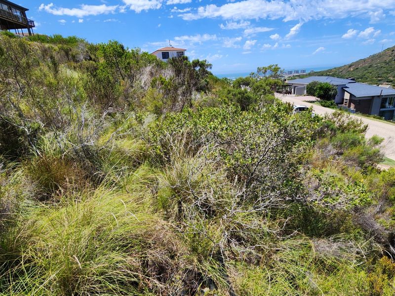 A sloped residential vacant land plot featuring natural coastal vegetation and surrounding neighborhood views.