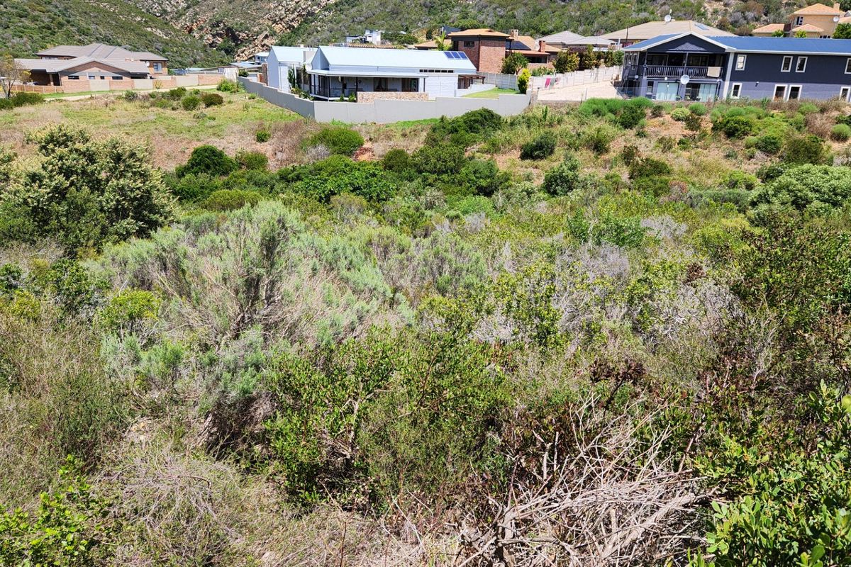 Large Stand.... Popular Neighbourhood... One of the Last Remaining... Well Priced !!! - Photo 2