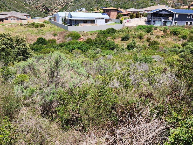 Large Stand.... Popular Neighbourhood... One of the Last Remaining... Well Priced !!! - Photo 2