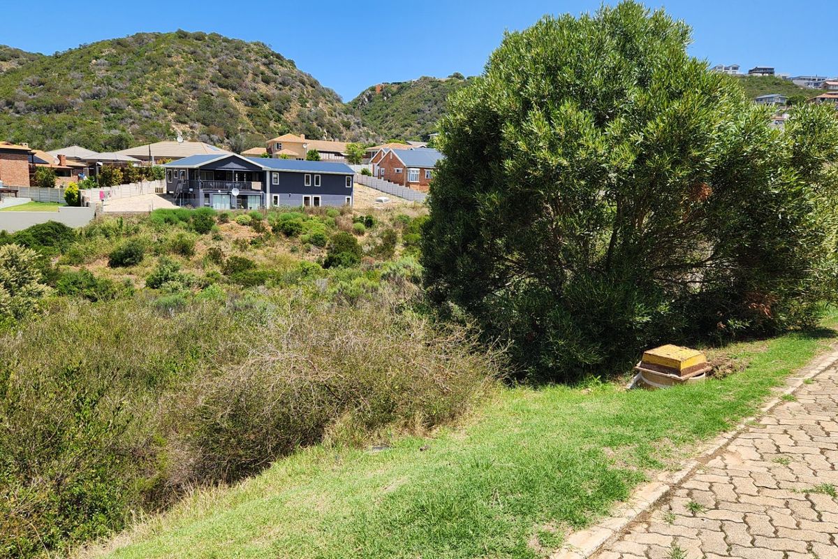 Large Stand.... Popular Neighbourhood... One of the Last Remaining... Well Priced !!! - Photo 4