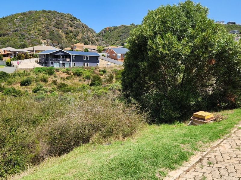 Large Stand.... Popular Neighbourhood... One of the Last Remaining... Well Priced !!! - Photo 4