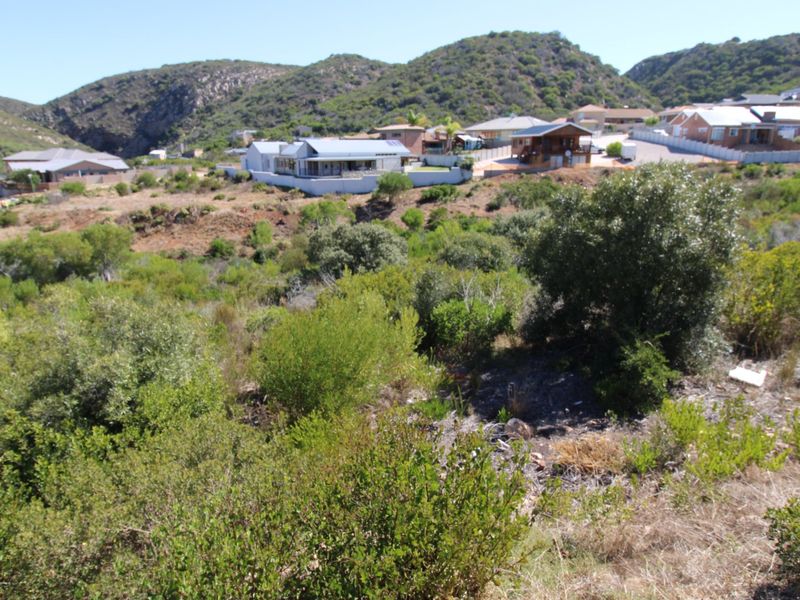 Large Stand.... Popular Neighbourhood... One of the Last Remaining... Well Priced !!! - Photo 10