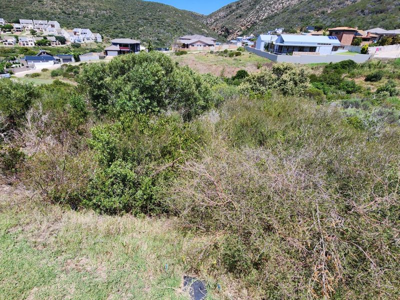 Large Stand.... Popular Neighbourhood... One of the Last Remaining... Well Priced !!! - Photo 7