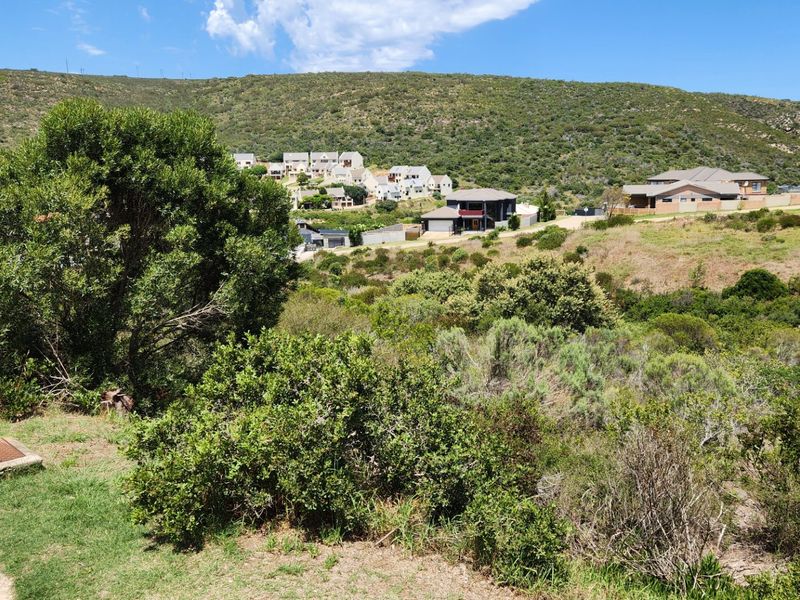 Large Stand.... Popular Neighbourhood... One of the Last Remaining... Well Priced !!! - Photo 3