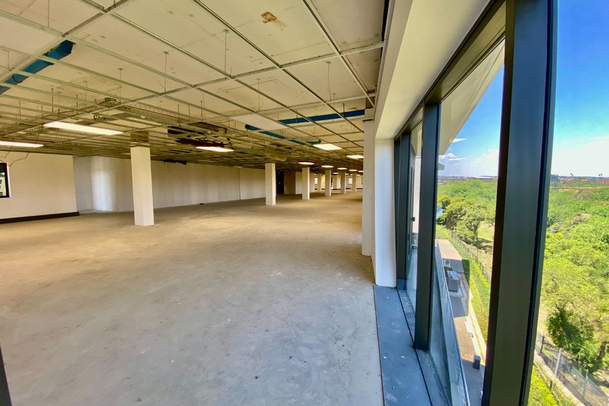 Expansive open-plan commercial office space featuring large floor-to-ceiling windows, structural columns, and an unfinished suspended ceiling grid ready for custom fit-out.