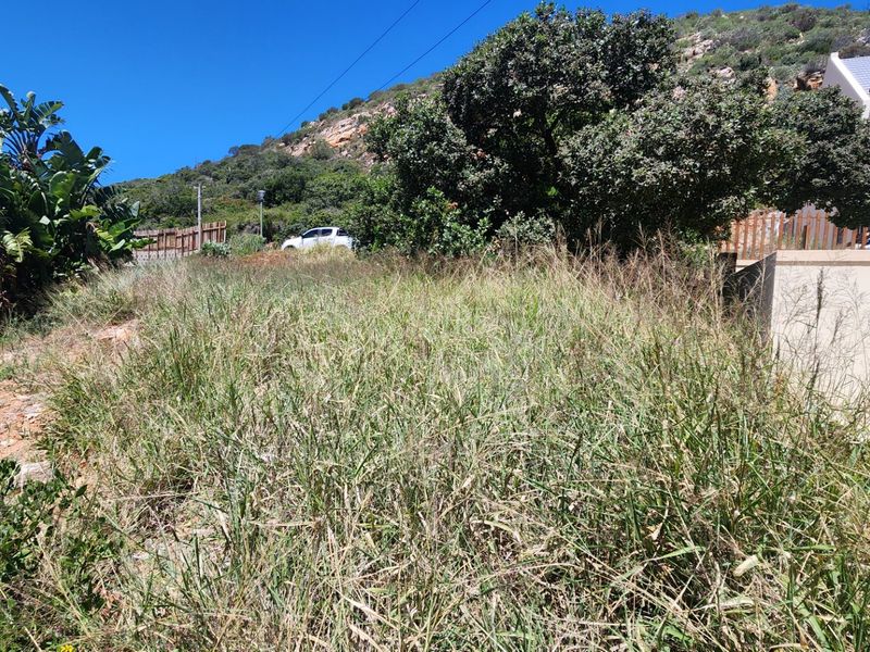 A view of an overgrown residential plot featuring natural vegetation, a retaining wall, and surrounding hillside landscape.