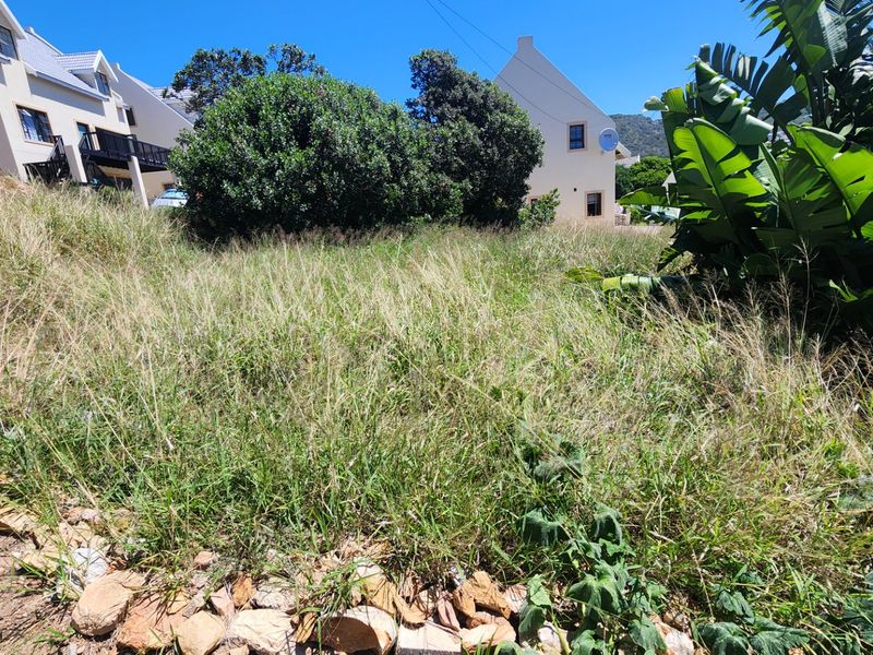 A view of a sloped, overgrown residential plot with established shrubs and a rock retaining base, situated near existing residential buildings.