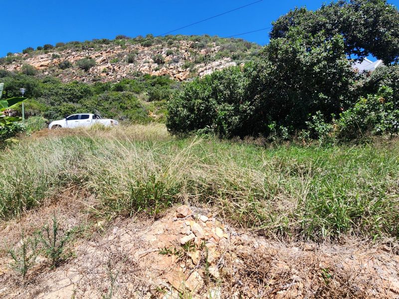 A view of a sloped, undeveloped residential plot featuring natural vegetation and rocky terrain, offering potential for future landscaping or construction.