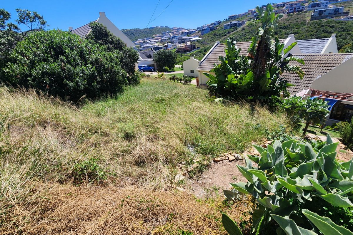 A view of a sloped, undeveloped residential plot featuring natural vegetation, situated within an established neighborhood setting.