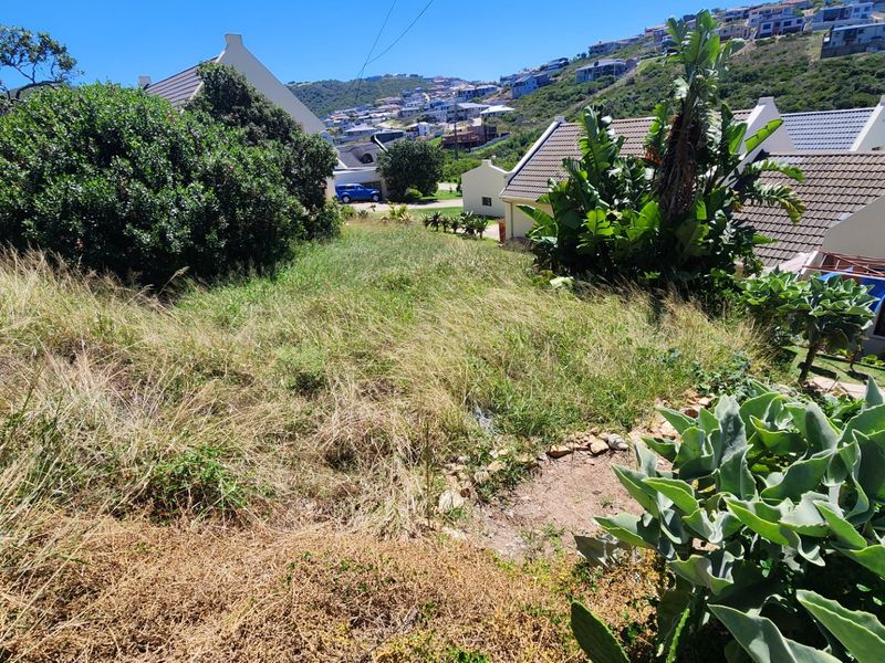 A view of a sloped, undeveloped residential plot featuring natural vegetation, situated within an established neighborhood setting.