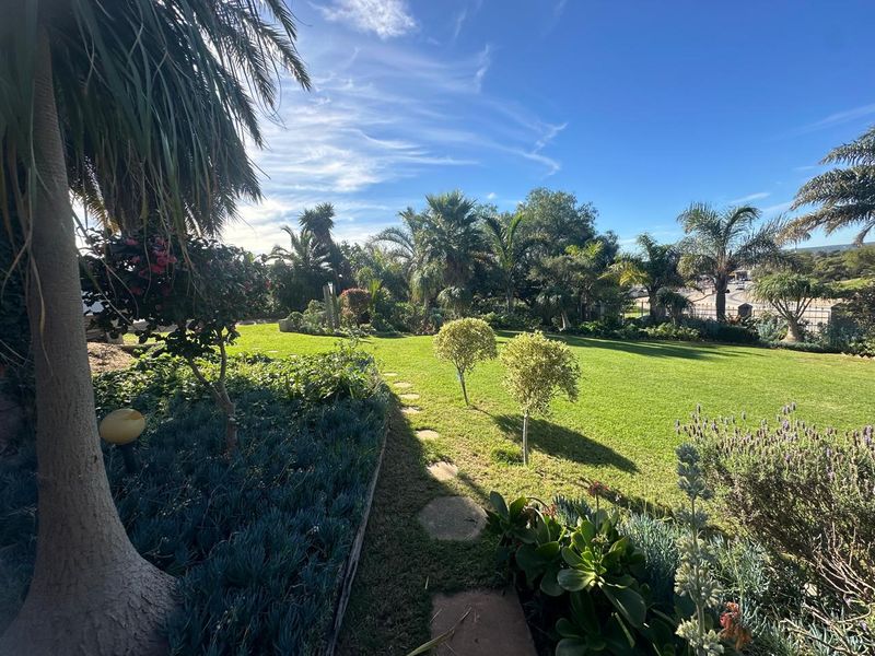A well-maintained, landscaped garden featuring lush green lawn, mature palm trees, and established shrubbery with a stone pathway.