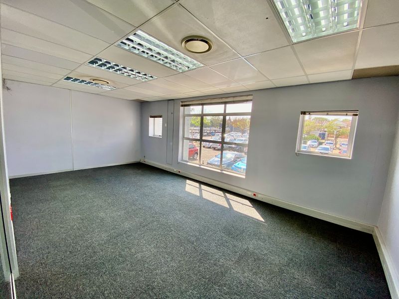 An empty commercial office space featuring a suspended ceiling, recessed lighting, carpeted flooring, and large windows providing natural light.