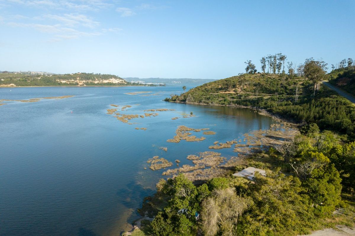 The infamous 'Crabs Creek' alongside Knysna's Estuary ready for development! - Photo 2