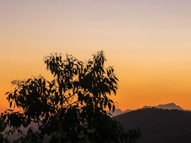 Spectacular Sunsets plus Panoramic Perfection  - Photo 8