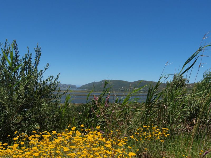 An amazing site overlooking the Knysna Estuary towards the Heads. - Photo 6