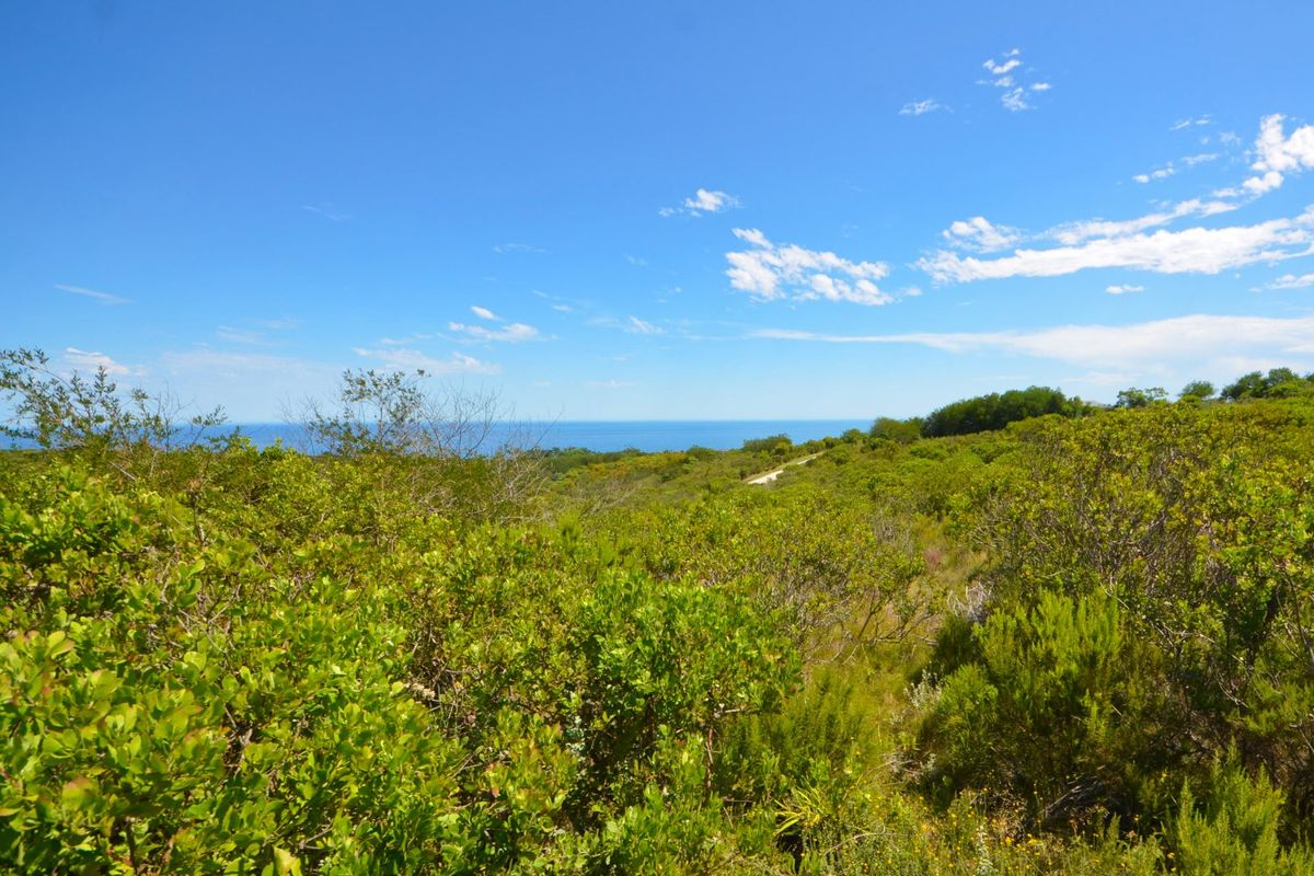 A scenic view of the coastal landscape featuring native vegetation and a clear horizon line over the ocean.
