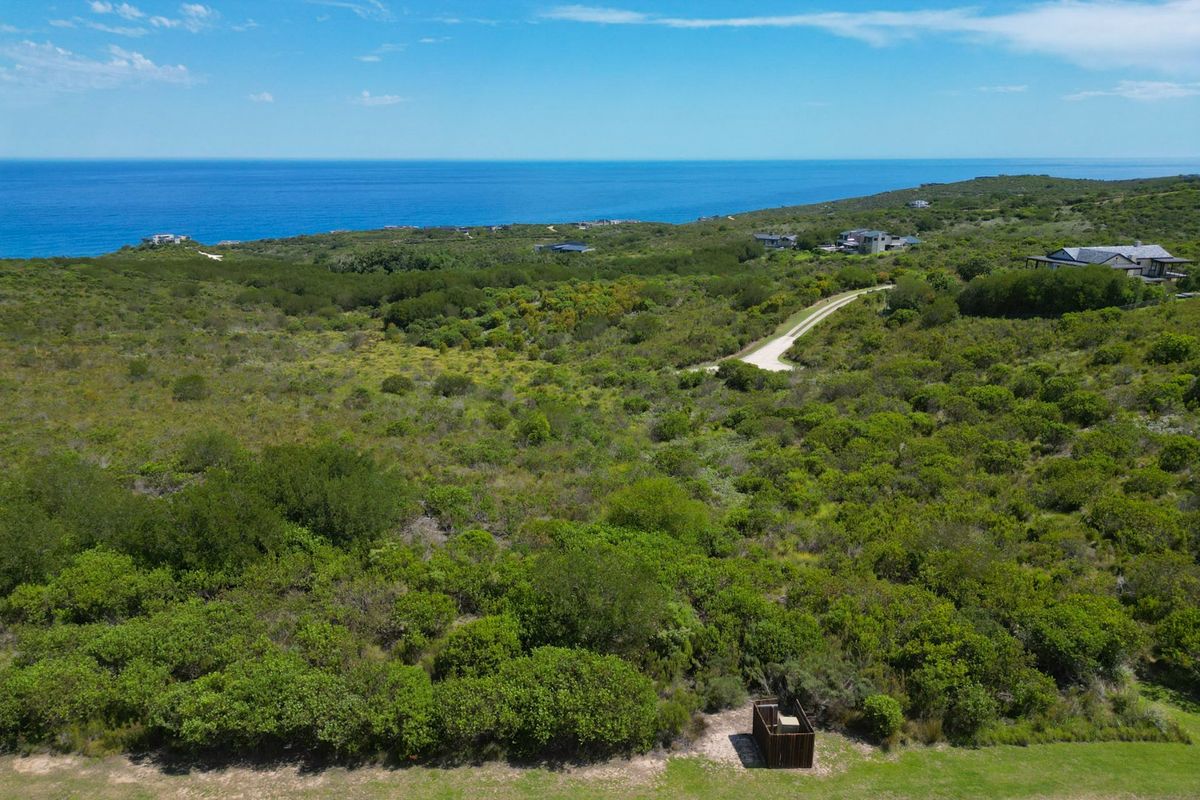 An aerial view of a large, undeveloped residential plot featuring native coastal vegetation, a gravel access road, and expansive ocean views.