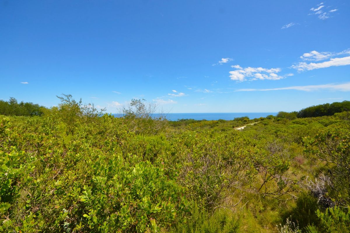 Views and Views and more ... - Photo 3