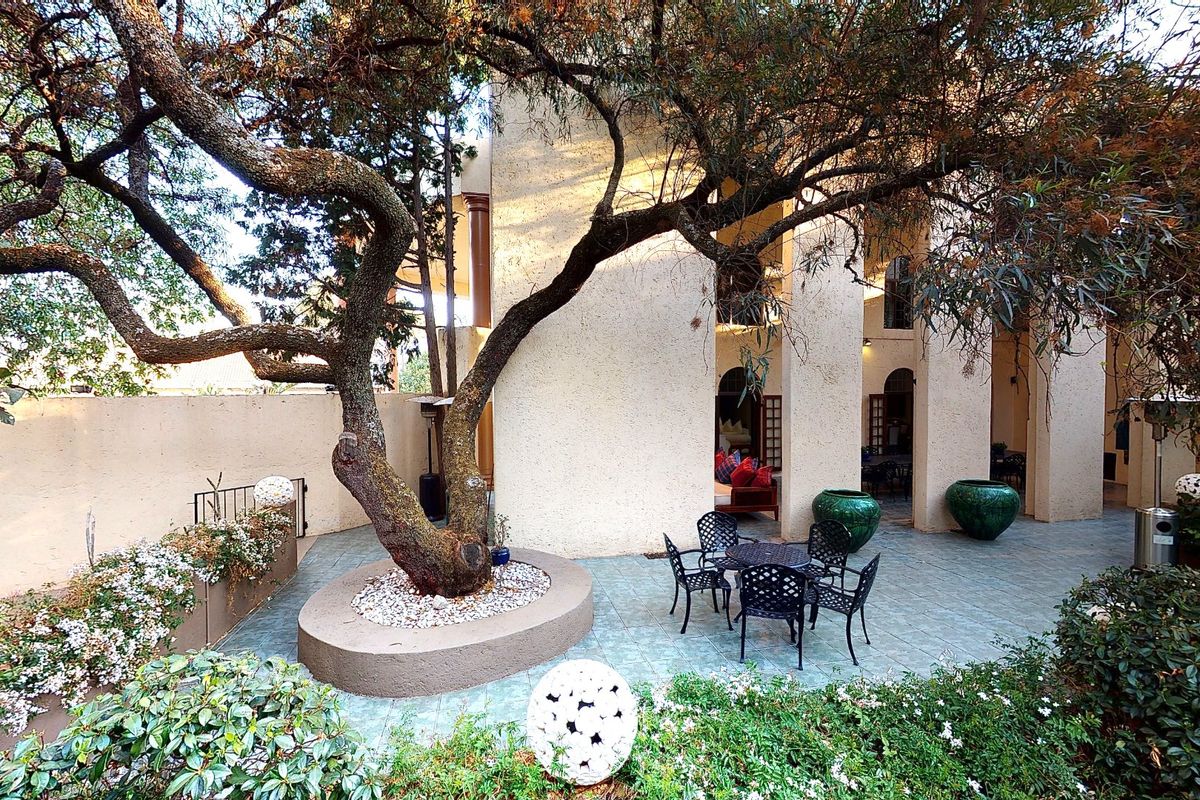 A spacious rear patio area featuring tiled flooring, a mature feature tree in a built-in planter, and access to the main building structure.
