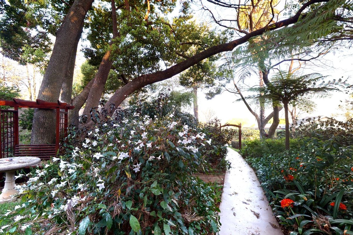 Furnished private ensuite available in Bryanston  - Photo 5