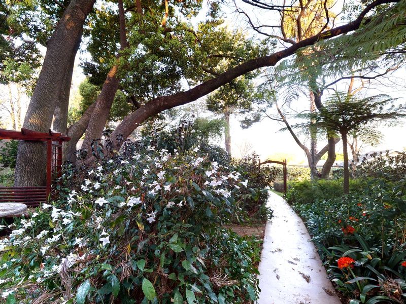 Furnished private ensuite available in Bryanston  - Photo 5