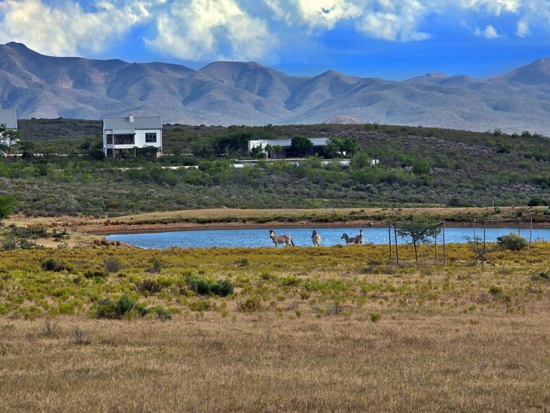 A scenic landscape view of the farm property featuring a natural dam, open grazing fields, and distant mountain ranges.