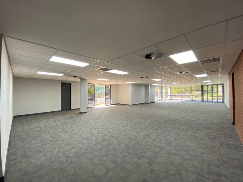 Spacious, open-plan commercial office area featuring neutral carpet tiles, a suspended ceiling with recessed lighting, and large windows providing ample natural light.