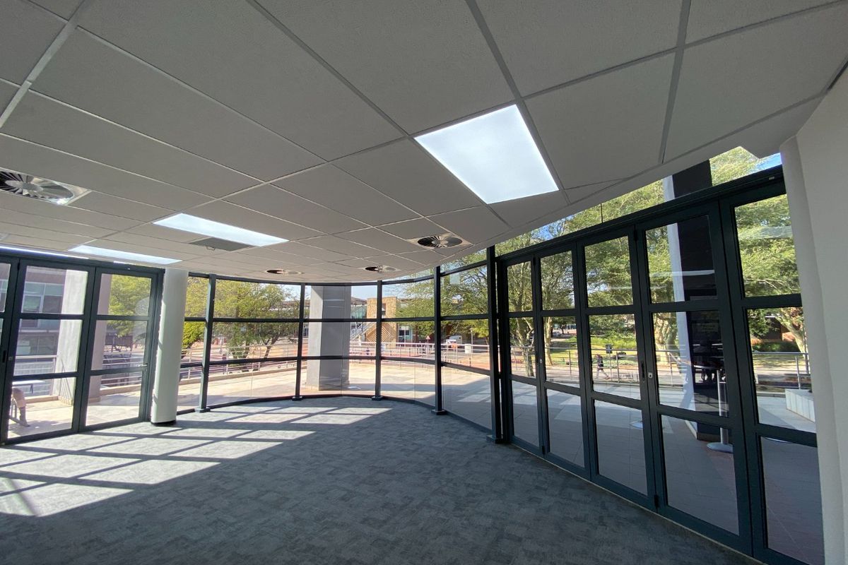 A bright, vacant commercial office space featuring extensive floor-to-ceiling glass windows, suspended ceiling tiles, and neutral carpet flooring.