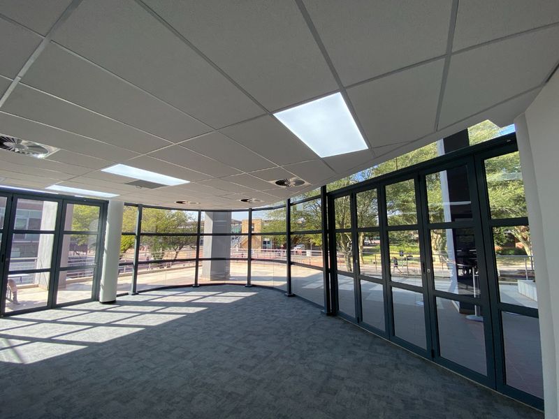 A bright, vacant commercial office space featuring extensive floor-to-ceiling glass windows, suspended ceiling tiles, and neutral carpet flooring.