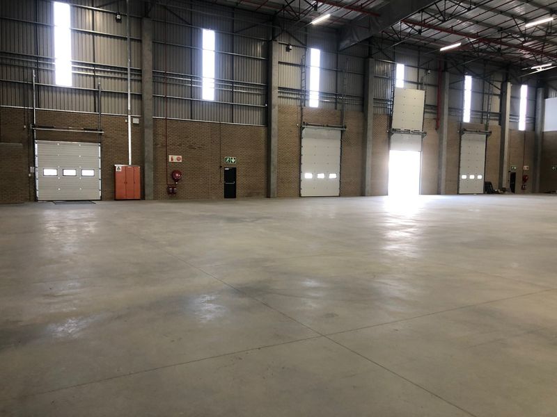 Spacious industrial warehouse featuring high ceilings, concrete flooring, multiple roller shutter doors, and functional fire safety infrastructure.