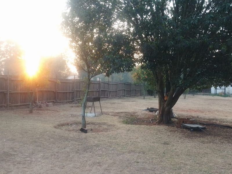 A spacious backyard area featuring mature trees and a wooden perimeter fence, capturing the morning sun.