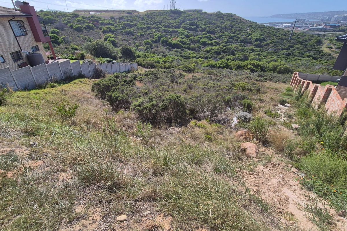 A sloped residential vacant land plot featuring natural vegetation, bordered by existing boundary walls and offering scenic hillside and coastal views.