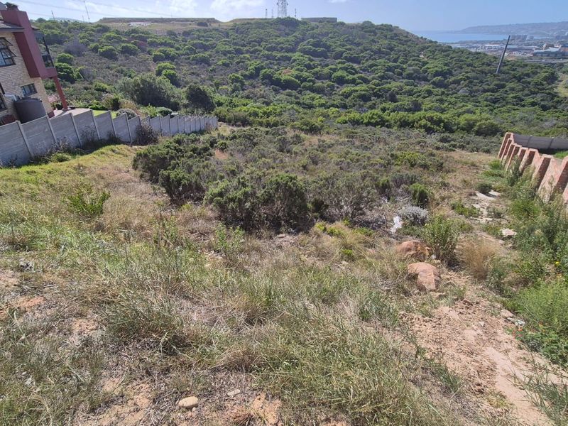 A sloped residential vacant land plot featuring natural vegetation, bordered by existing boundary walls and offering scenic hillside and coastal views.