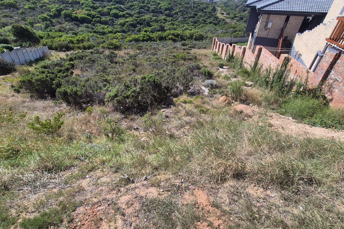 A sloped residential vacant land plot featuring natural vegetation, bordered by existing brick boundary walls and adjacent residential property.